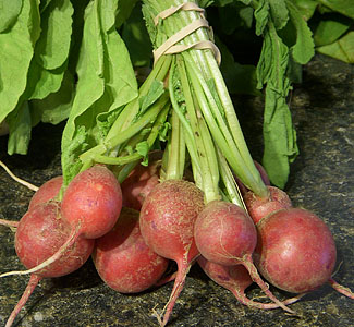 Radishes