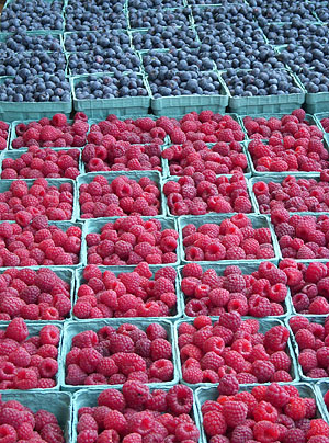 lexberry Berries!