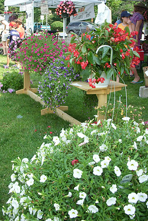 lexflower