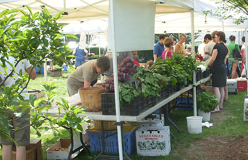 Lexington Farmer\'s Market 2